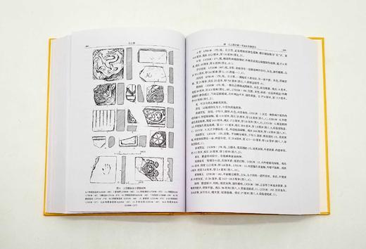 预售：《元上都：元上都考古发掘报告》，上下两册，精装 商品图12