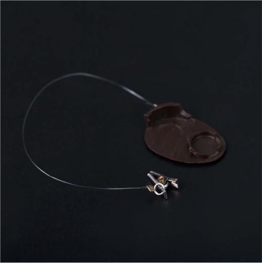 奥地利 声桥/骨桥 仓门 商品图2