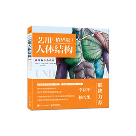 艺用人体结构（精华版）