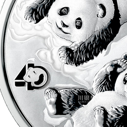 2022熊猫30克银币 首现40周年标识 商品图5