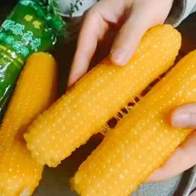 绿色食品~【绿塔玉米-黏糯香甜】10根/20根，软糯飘香