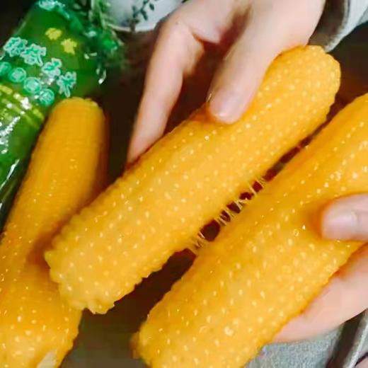 绿色食品~【绿塔玉米-黏糯香甜】10根/20根，软糯飘香 商品图0