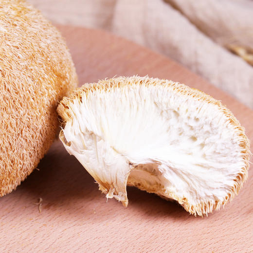 【干货精选】福建干猴头菇 无熏硫小火烘干 菌肉坚实菌刺短 懂胃专家 煲汤养胃 让你的胃暖暖的 商品图3