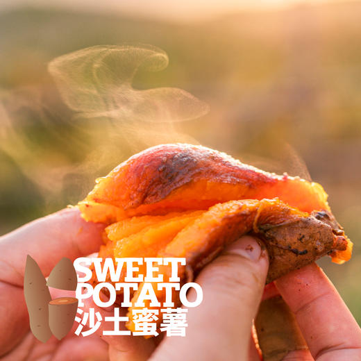 沙土蜜薯已糖化好（烟薯25/白哈密）  申通快递 商品图2