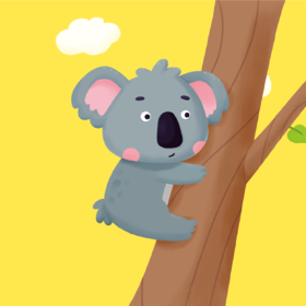 1阶-动物认知：考拉