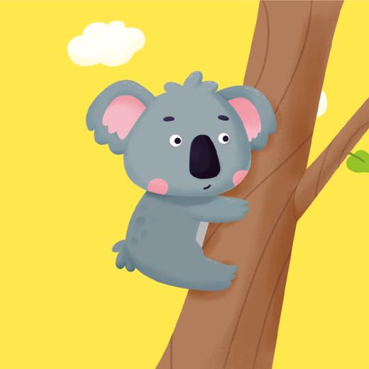 1阶-动物认知：考拉 商品图0