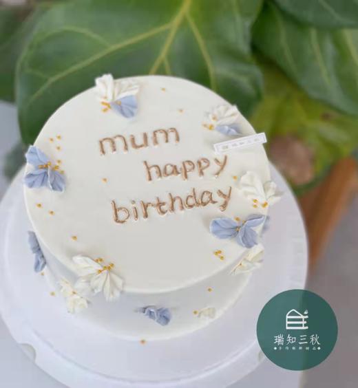 裱花-蓝白 商品图0