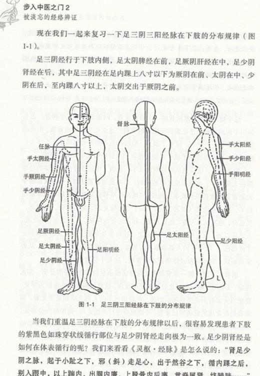 步入中医之门2 被淡忘的经络辨证 修订版 道少斋中医讲稿 毛以林 著 中医学书籍 中医经络基本知识 中国中医药出版社9787513260107 商品图3