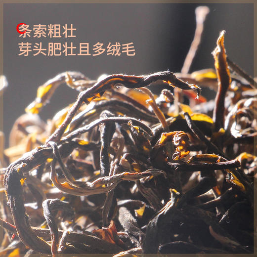茶马世家2018年正宗老班章500年古树单株头春普洱生茶357g 商品图1