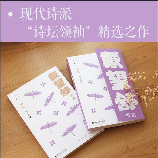 《壹本·文学精读系列》10册装 商品图6