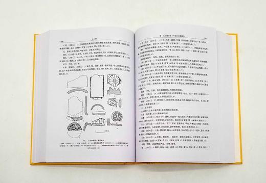 预售：《元上都：元上都考古发掘报告》，上下两册，精装 商品图13