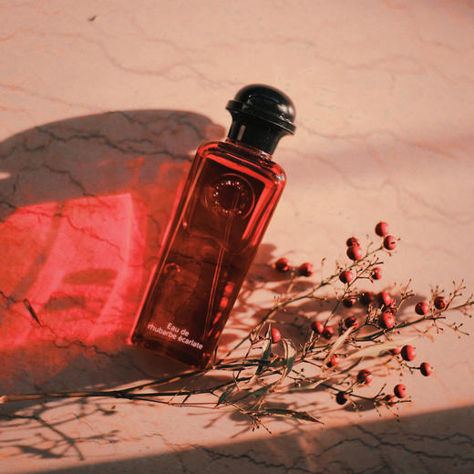 如果你想买一个不撞香的高级香水 推荐「爱马仕Hermes血色大黄」100ml   完全清新的一瓶香水，被名字带跑偏了! ! 商品图0