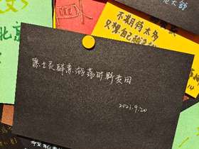 肆意游荡旷野麦田