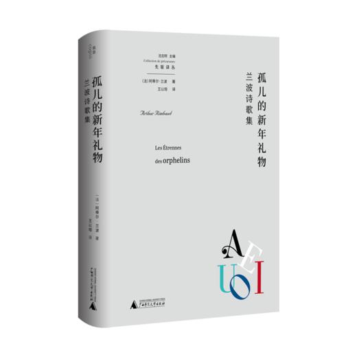 孤儿的新年礼物：兰波诗歌集 商品图0