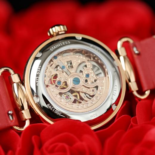 海鸥Seagull时光女神自动机械女士手表镂空防水时尚D513.634L 商品图2