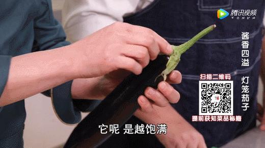 食材挑选大全之——茄子 商品图0