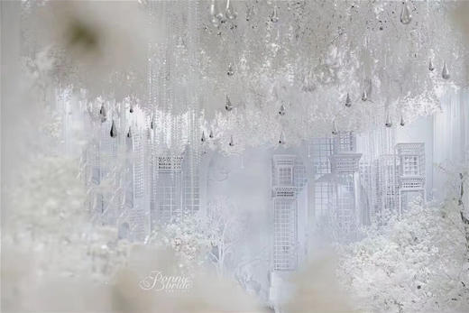 天使之泪【运费自理】 商品图5