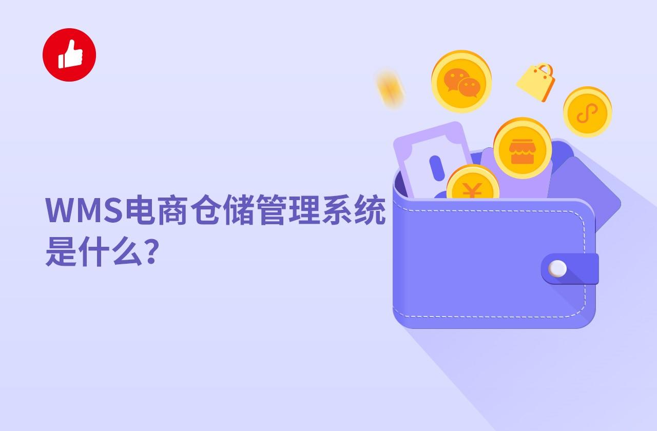 WMS电商仓储管理系统是什么？有什么用？