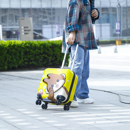 【服饰鞋包】新款儿童拉杆箱行李箱女18寸万向轮旅行箱卡通图案拖运箱 商品图1