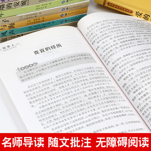 快乐读书吧30册 小学生四五六年级课外书籍阅读十大名著经典书初中生语文爱的教育城南旧事朝花夕拾 商品图3