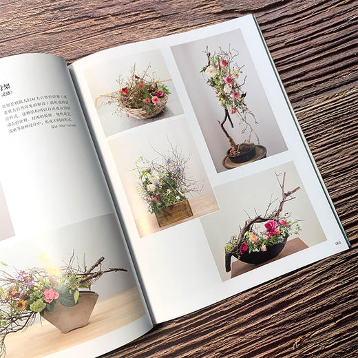 花艺设计原理与技法套装3册：花艺史上的经典主题与样式、经典样式创作详解、从理解植物到设计植物 商品图5