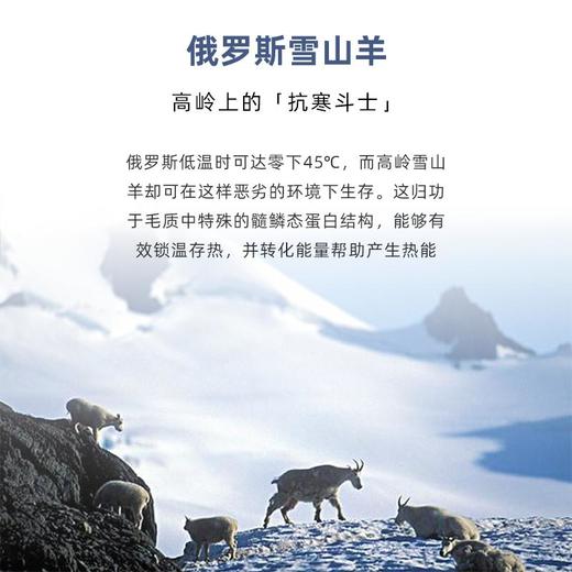 【俄罗斯仿生科技】雪羊绒科技男士保暖内衣，防寒锁温恒温37℃，排湿透气，亲肤舒适，无痕不臃肿 商品图1