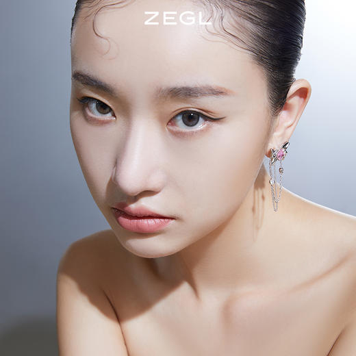 ZEGL设计师蝴蝶流苏耳环女轻奢高级感耳钉ins风耳饰 商品图1