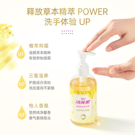 洁芙柔抑菌家用儿童水洗洗手液300ml 商品图2