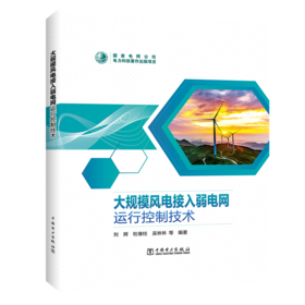 大规模风电接入弱电网运行控制技术