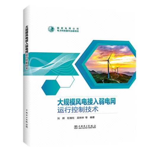 大规模风电接入弱电网运行控制技术 商品图0