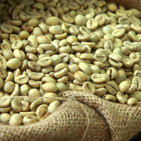 日签｜咖啡果到一杯咖啡的程序（2）