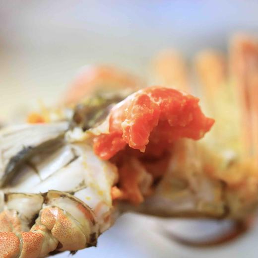 现货发售｜江苏高邮湖大闸蟹8支母蟹顺丰空运包邮 商品图5