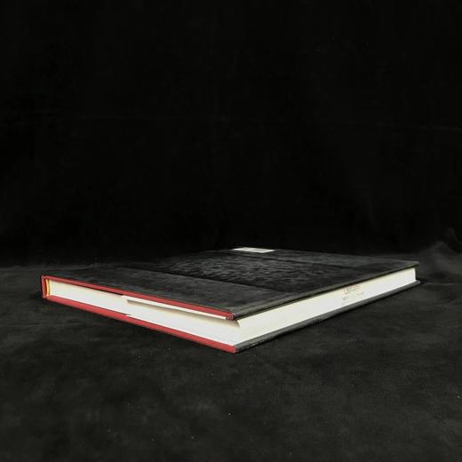 布尔汉·多冈西画集 168幅彩色43幅黑白插图 精装16开 商品图2