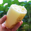 【湖北洪湖粉藕】新鲜莲藕  粉藕绵软 商品缩略图4