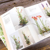 花艺设计原理与技法套装3册：花艺史上的经典主题与样式、经典样式创作详解、从理解植物到设计植物 商品缩略图11