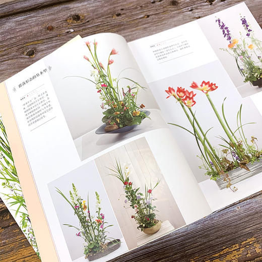 花艺设计原理与技法套装3册：花艺史上的经典主题与样式、经典样式创作详解、从理解植物到设计植物 商品图11