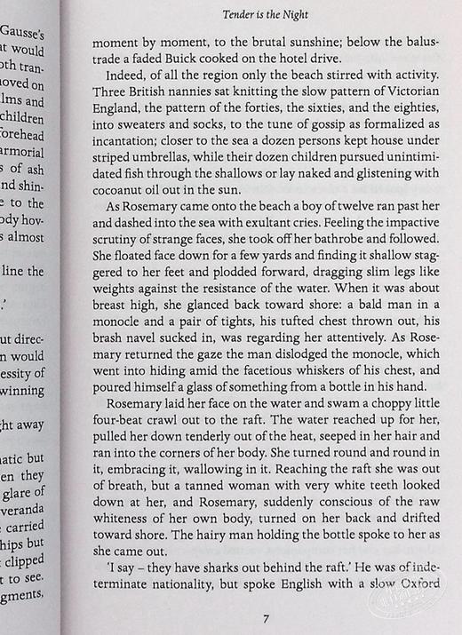 【中商原版】菲茨杰拉德 夜色温柔 Tender is the Night 英文原版 F Scott Fitzgerald 商品图5