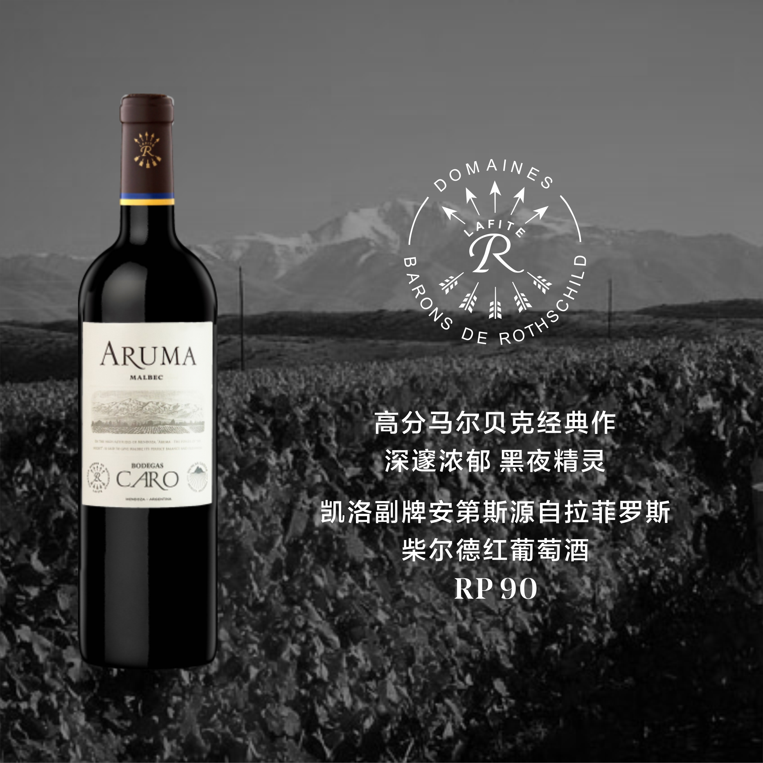 阿根廷 拉菲罗斯柴尔德爱汝马尔贝克干红葡萄酒 Aruma Malbec 2019