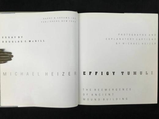 迈克尔·海泽艺术图集 154幅插图（72幅彩色） 精装16开 商品图3