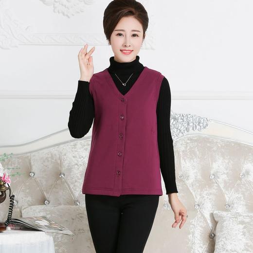 ARN-Y053秋冬保暖背心 休闲女士 修身型保暖透气V字领马甲 商品图4