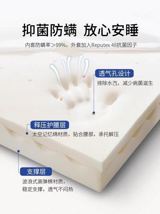【升级款】记忆棉床垫 零压力慢回弹榻榻米家用租房床褥子透气可折叠 商品图3