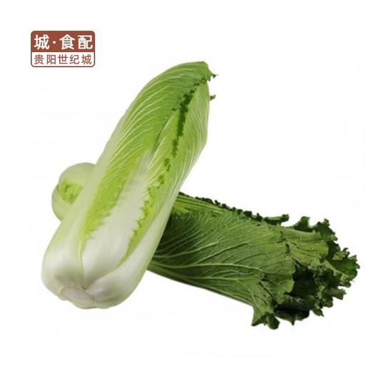 青口白500g/份【GYZH】 商品图0