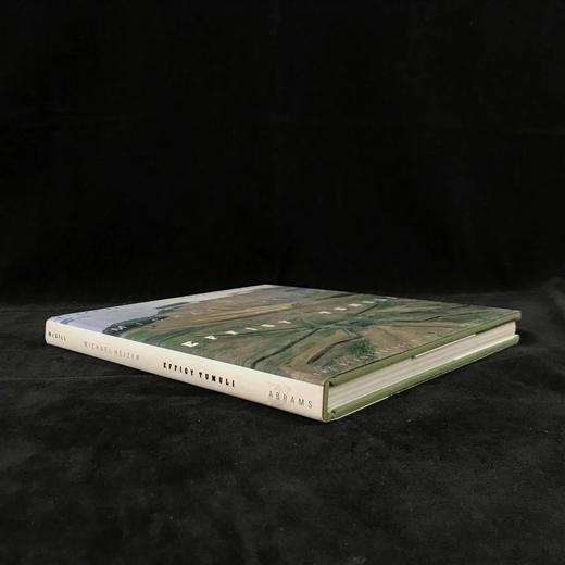 迈克尔·海泽艺术图集 154幅插图（72幅彩色） 精装16开 商品图1