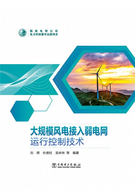大规模风电接入弱电网运行控制技术 商品图1