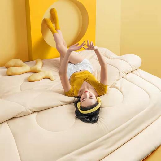 生姜柔暖抗菌蓄热四季被/冬被 商品图1