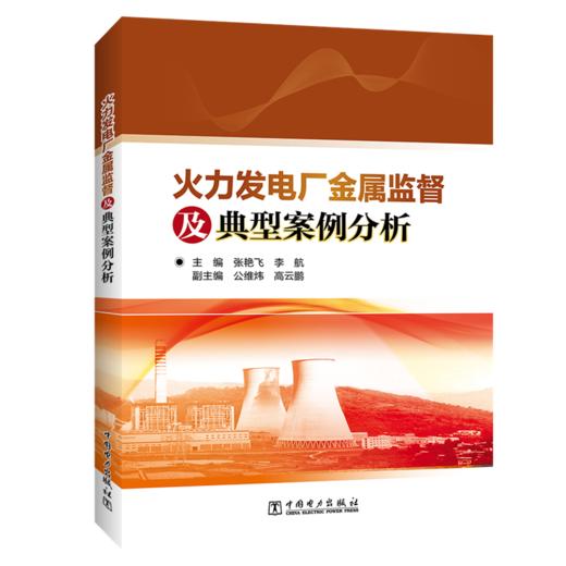 火力发电厂金属监督及典型案例分析 商品图0