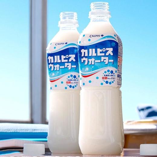 可尔必思乳味饮料500ml 商品图3