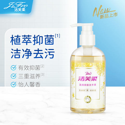 洁芙柔抑菌家用儿童水洗洗手液300ml 商品图1