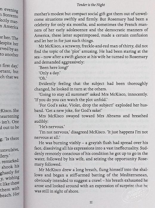 【中商原版】菲茨杰拉德 夜色温柔 Tender is the Night 英文原版 F Scott Fitzgerald 商品图7