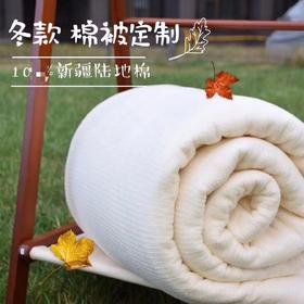 新疆棉花被一级优质棉被子5斤 手工包边 （多规格尺寸可选）